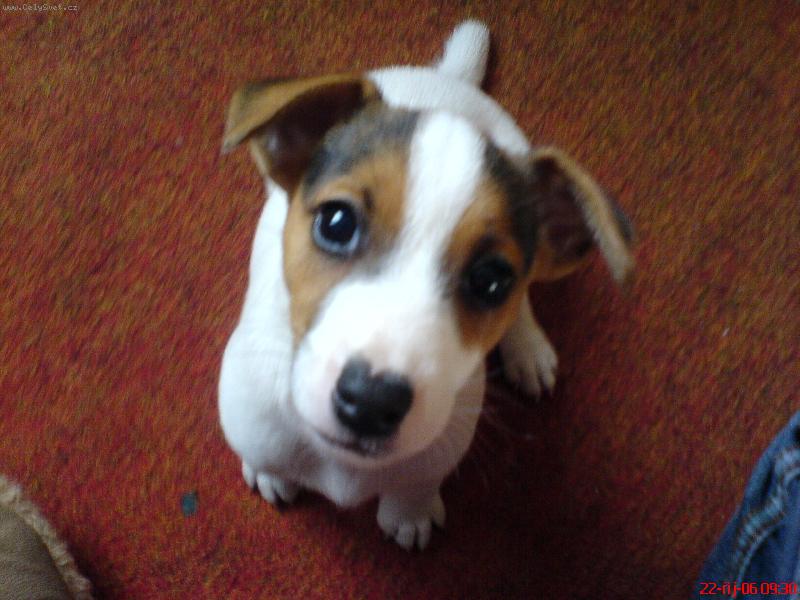 Foto: N� mailou