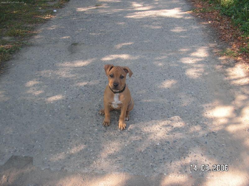Foto: "mi�ka"
