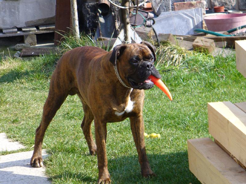 Foto: okalo