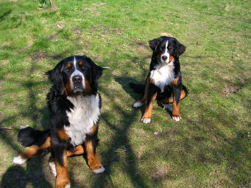 Foto: Max a Sam