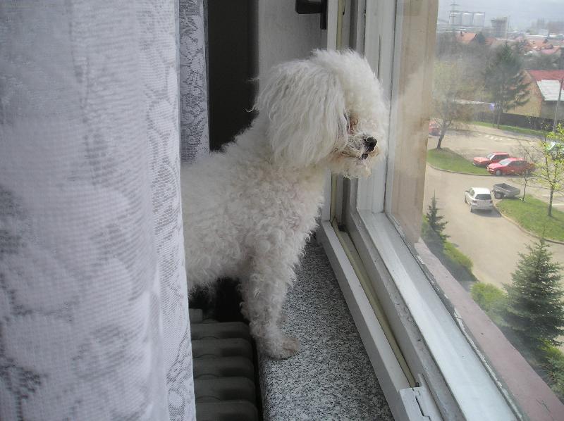 Foto: andy