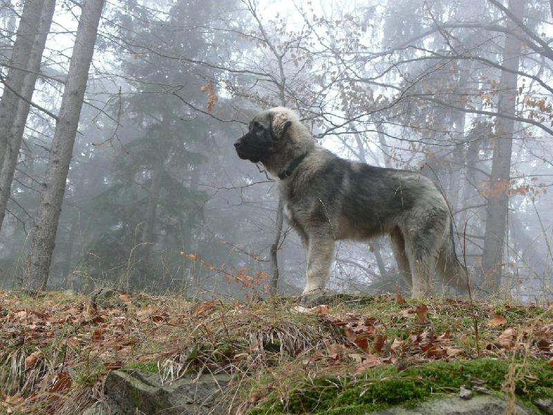 Foto: Arrow od Ak�tov�ho potoka-bylo kr�sn� po��sko
