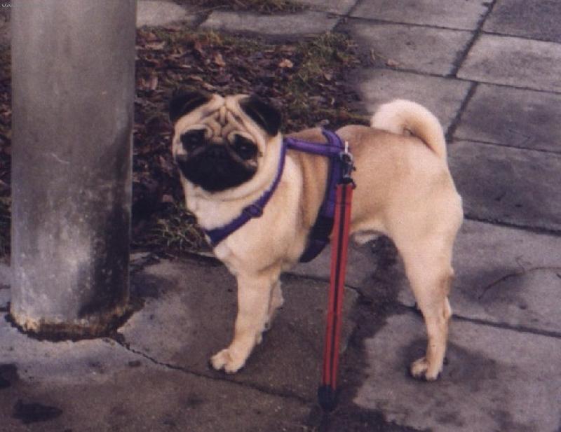 Foto: Bert�k Jakapa