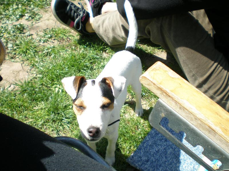 Foto: Agnes-se slun�