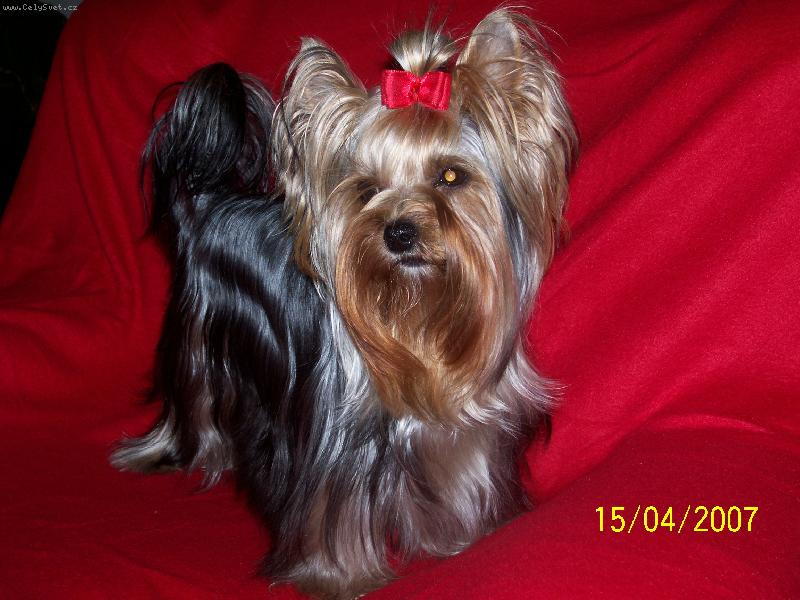 Foto: Bessy