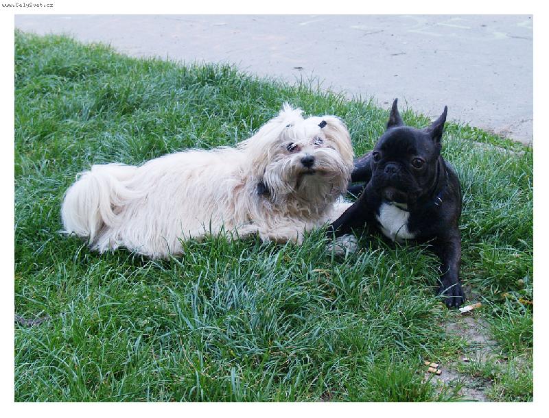 Foto: Ange & Quido