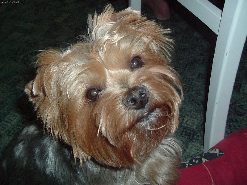 Foto: Max�k