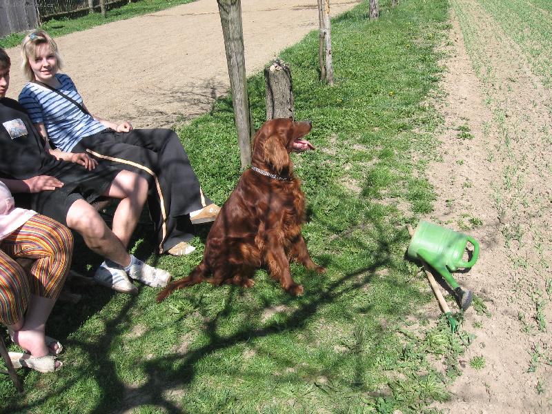 Foto: Max�k