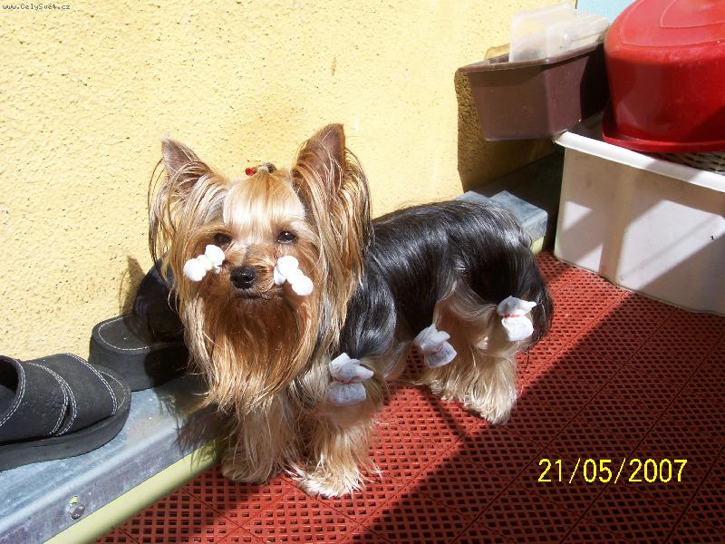 Foto: Bessy
