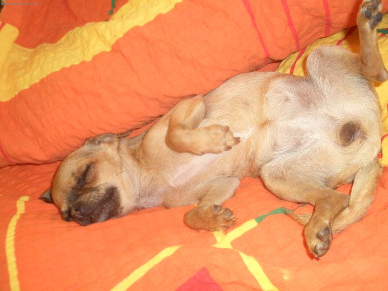 Foto: mia
