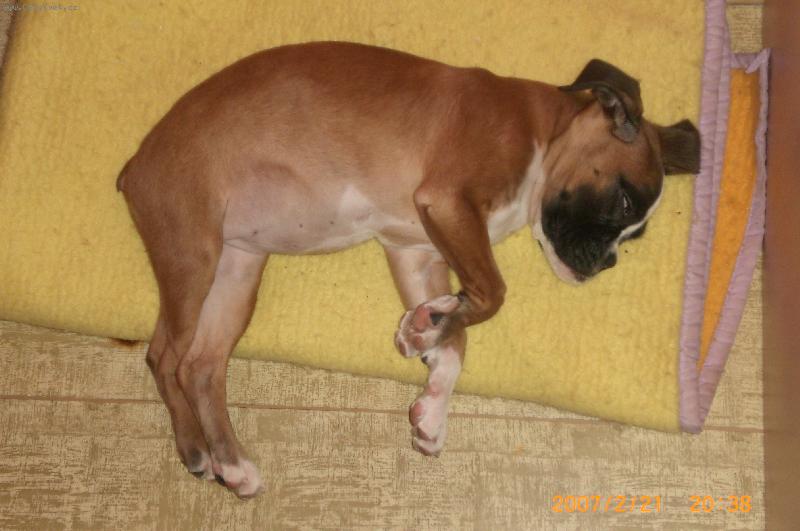 Foto: bessy