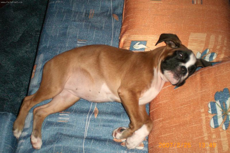 Foto: bessy