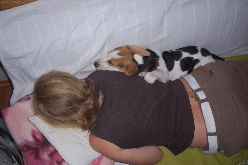 Foto: S�ra-Siesta