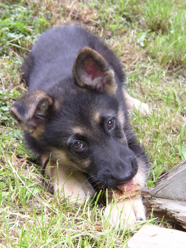 Foto: Asta