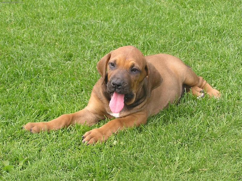 Foto: st�n�tko-st�n�tko