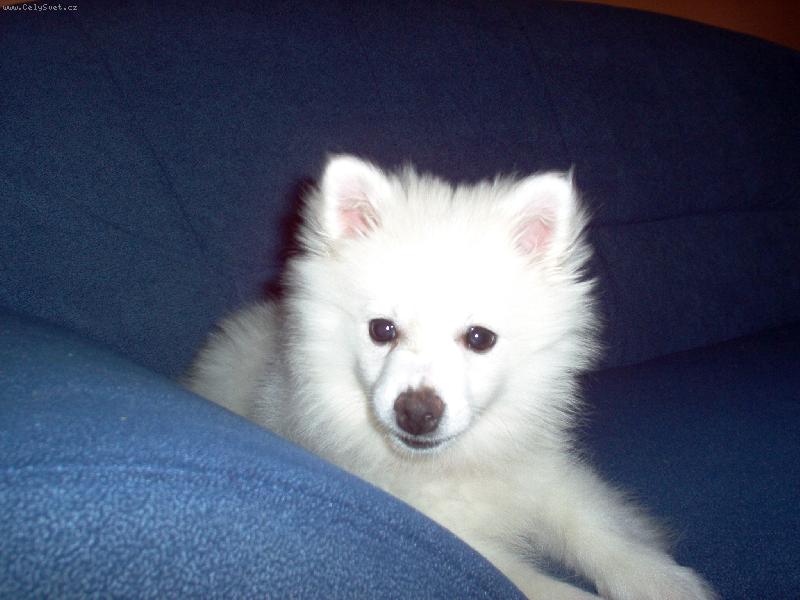 Foto: Eliska