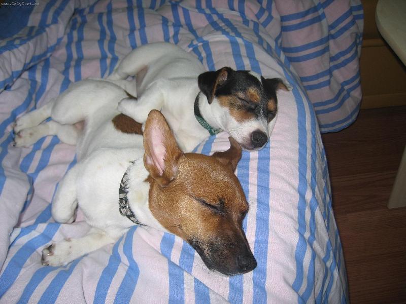 Foto: Nelly a Roxy