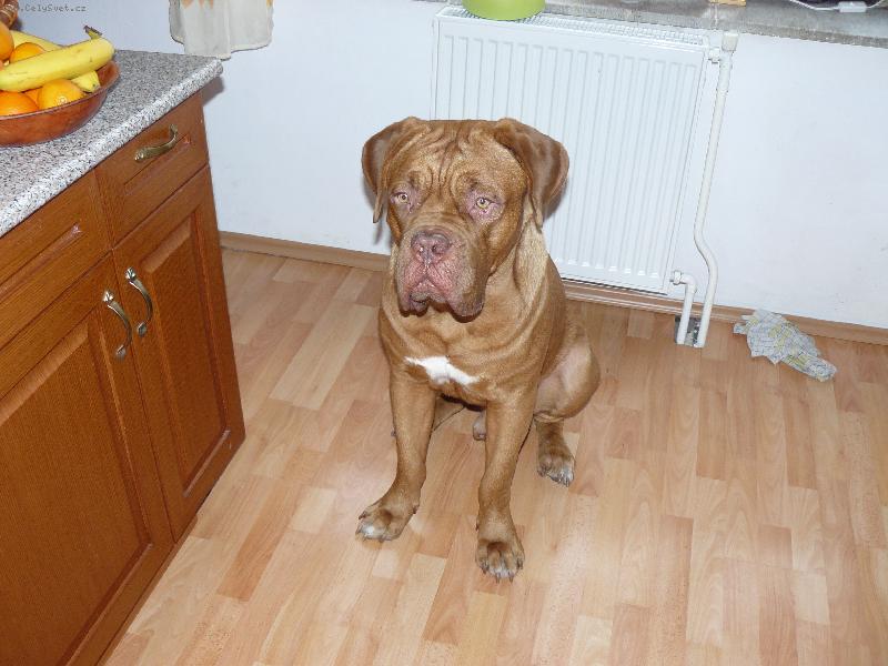 Foto: artu