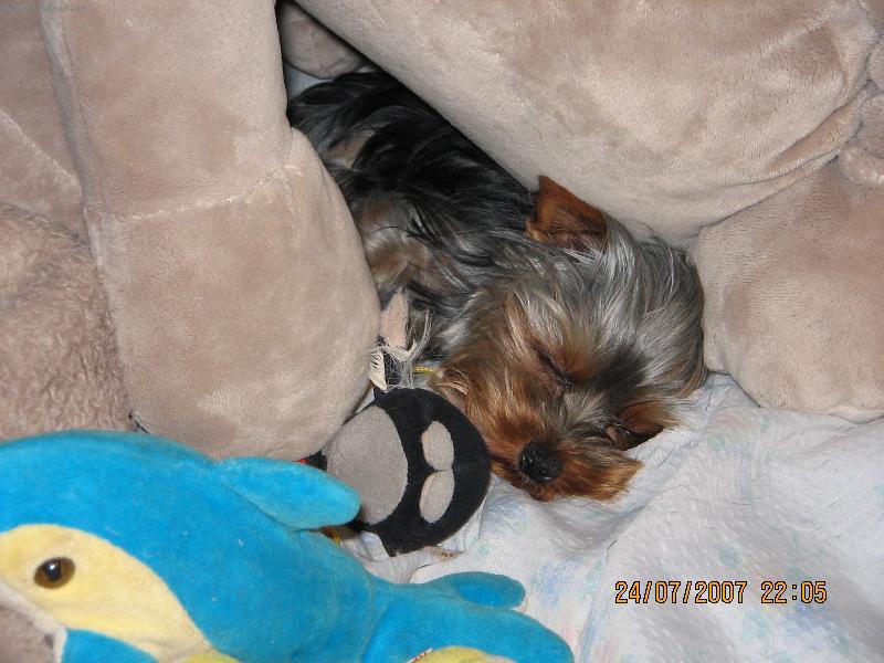 Foto: phoebinka