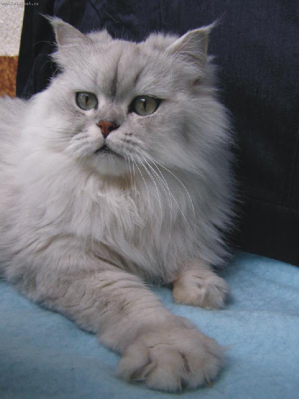 Foto: M�auk 2