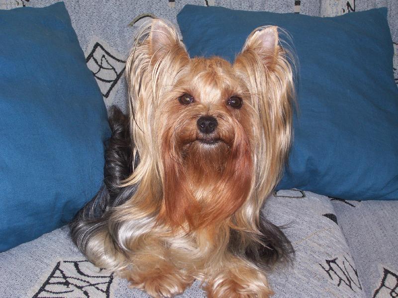 Foto: Bessy-Bessy