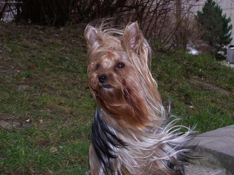 Foto: Bessy-Bessy