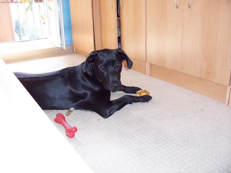 Foto: Na cvi��ku-Jsem �ern� no a co?:)