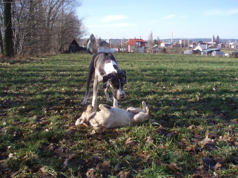 Foto: Boska a Lara
