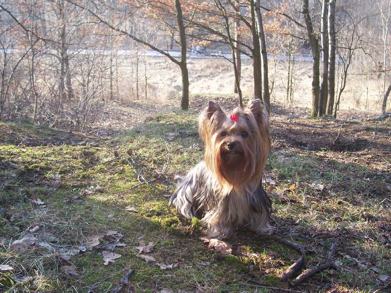 Foto: Bessy-Bessy