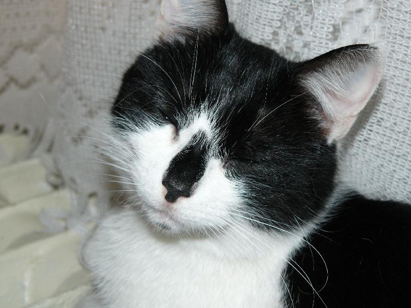 Foto: Pohod��ka