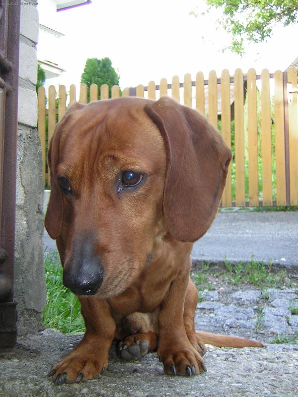 Foto: Pepa
