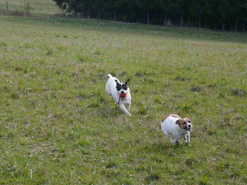 Foto: Joy�k a Jackie-Spole�n� ven�en�