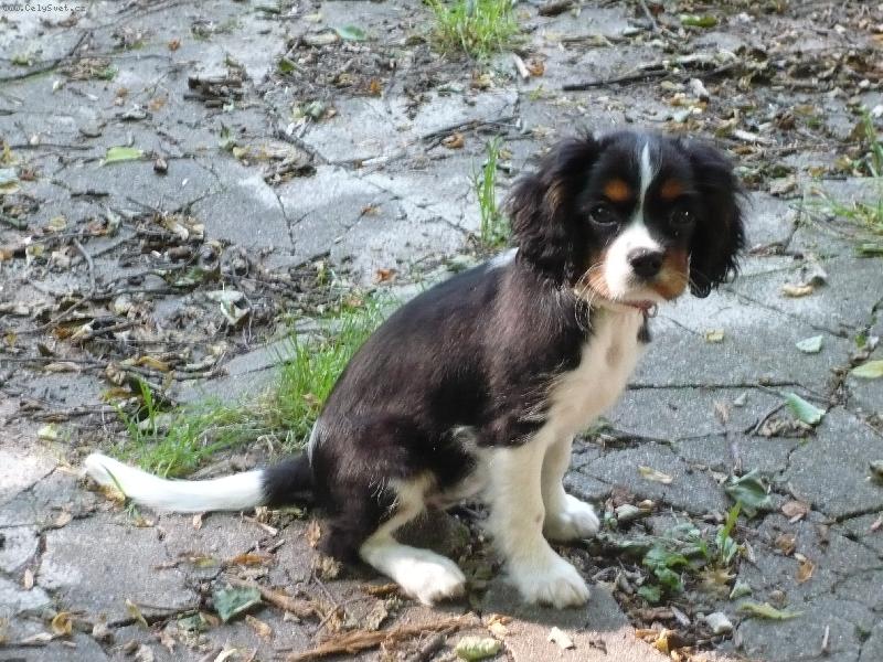Foto: Maggie