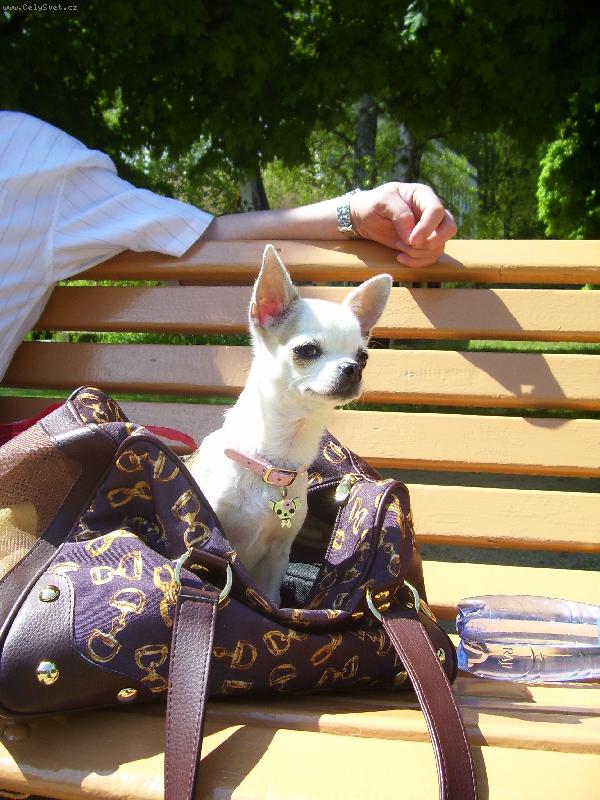 Foto: Lillka