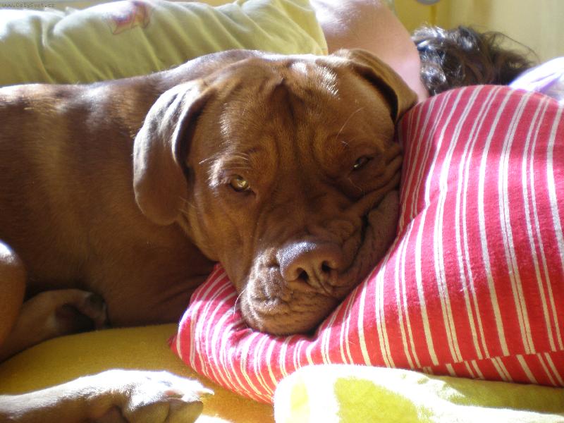 Foto: Arleta
