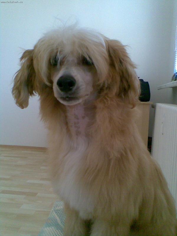 Foto: modelka Akym