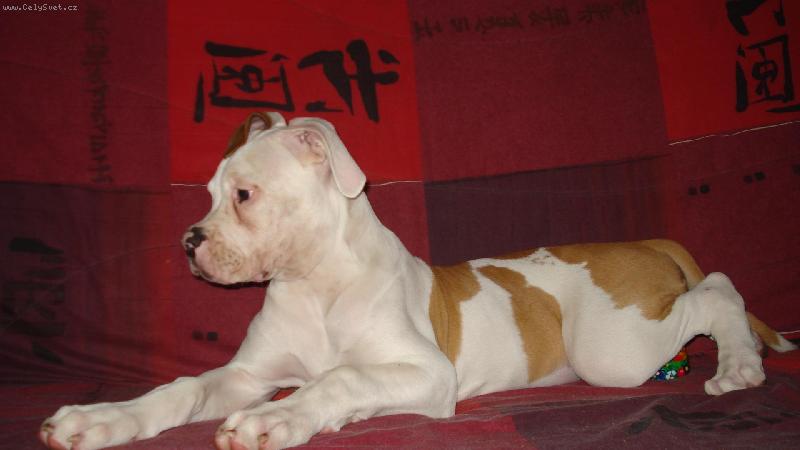 Foto: Odpo�inek