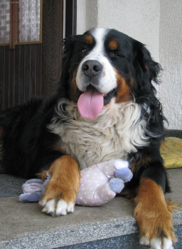 Foto: Jim  s kr�l�kem