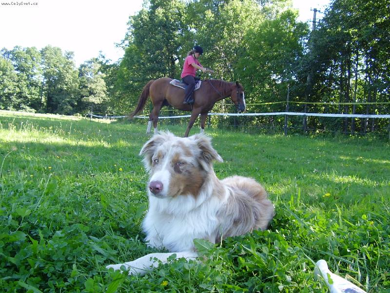 Foto: Gucci a Merlin