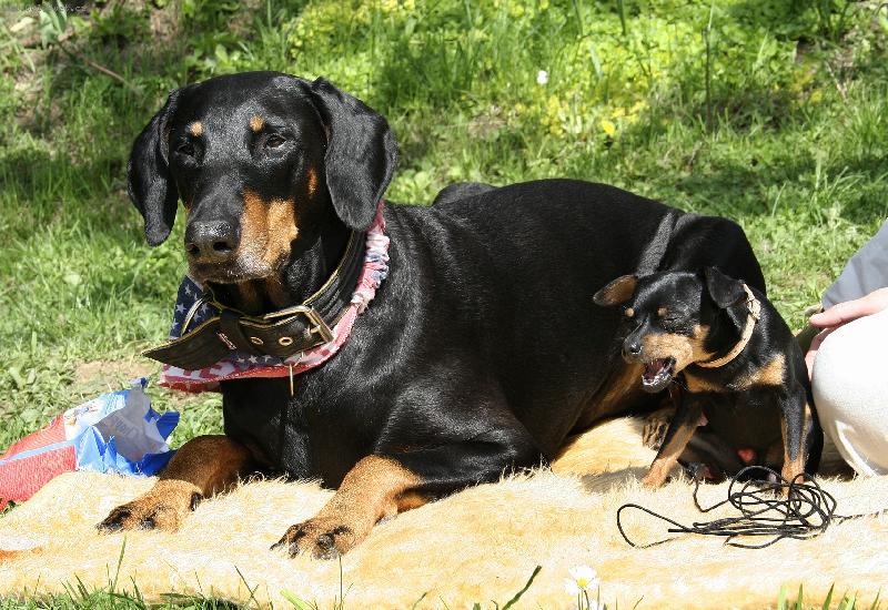 Foto: Dva-Dobrou� s krysa��kem