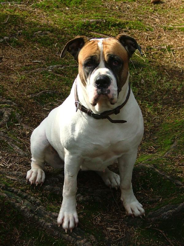 Foto: Roxy--Roxy-