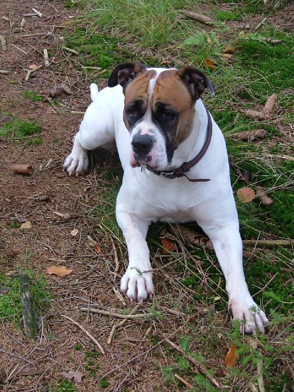Foto: Roxy--Roxy-