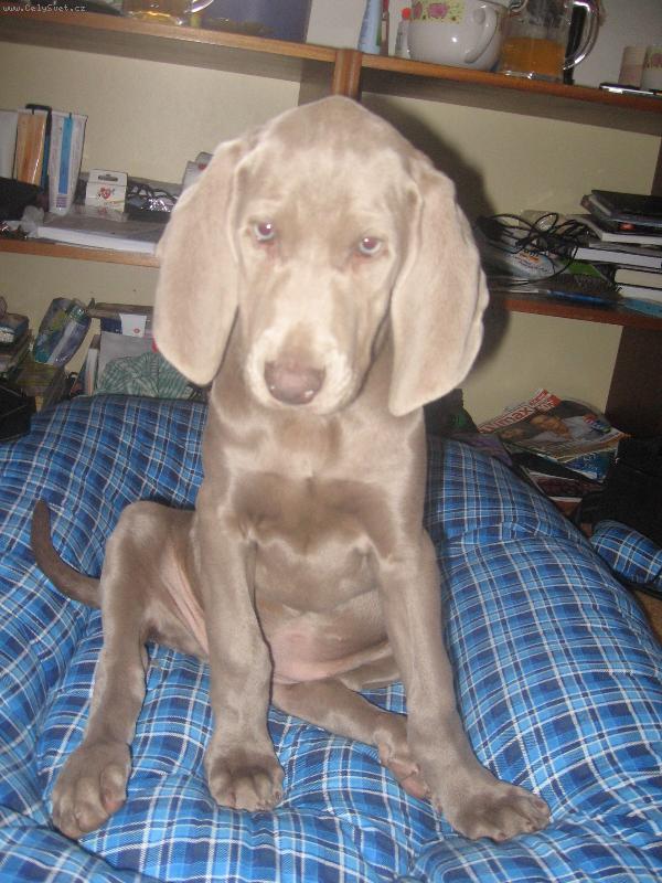 Foto: Ply���ek