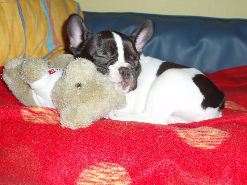 Foto: Princezna