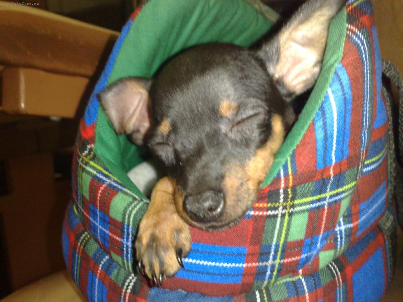 Foto: spink�m