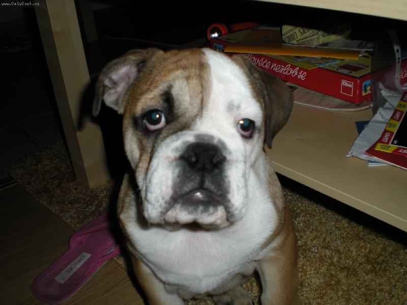 Foto: Tony