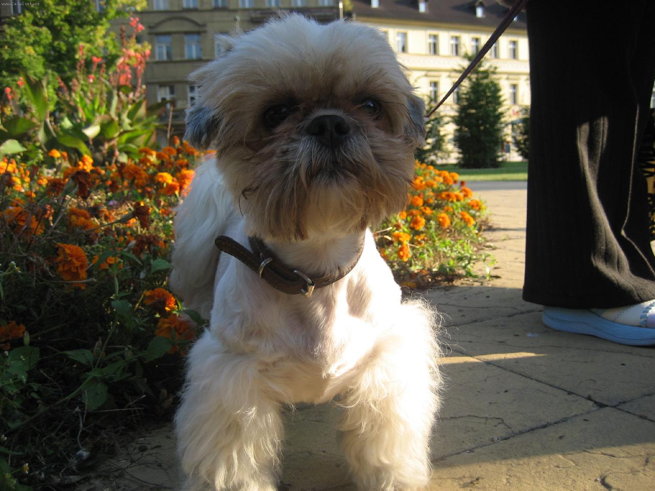 Foto: Na�e Lilly