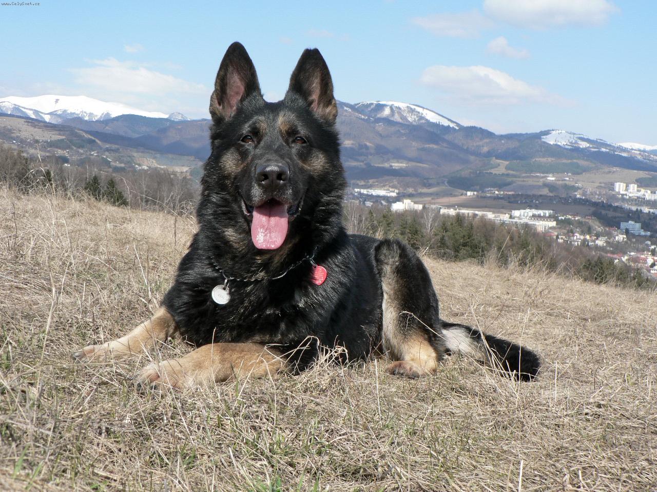 Foto: Gera