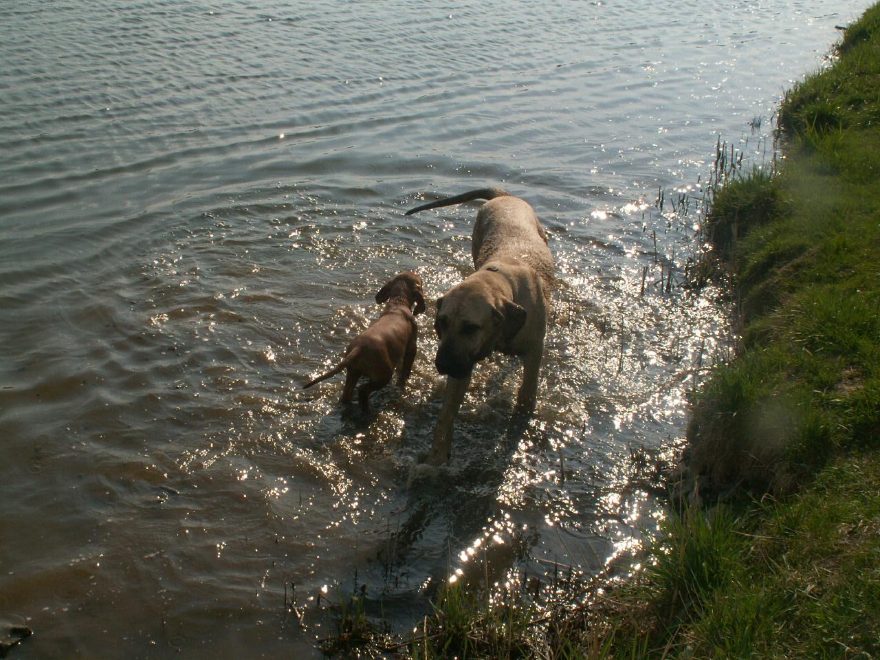 Foto: Daymon