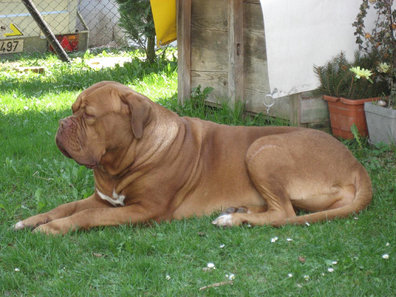 Foto: Elz�k-Nuda